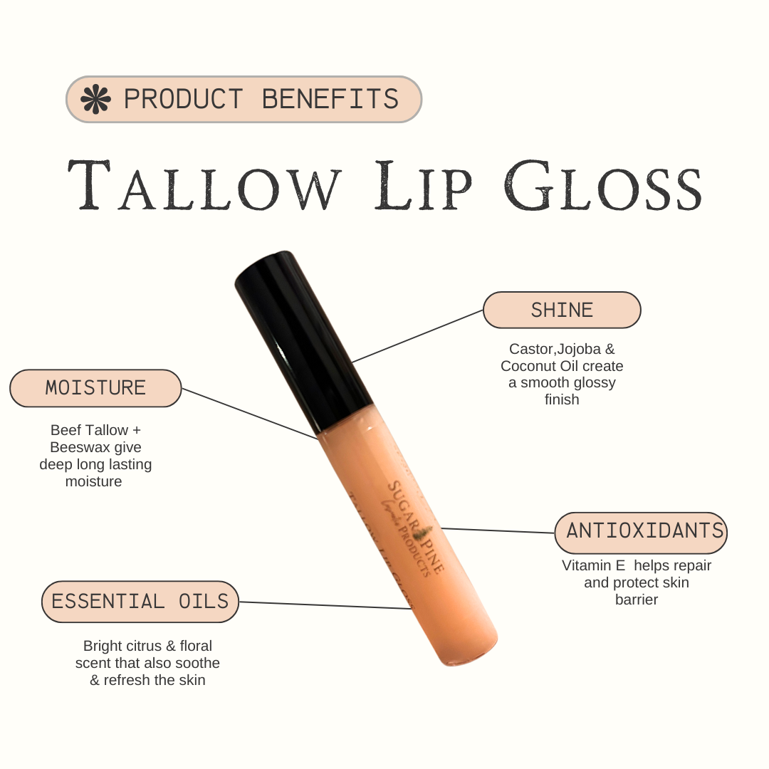 Tallow Lip Gloss