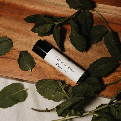 Tallow Lip Balm